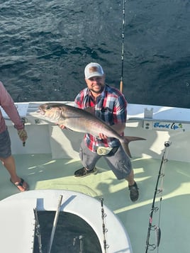 Offshore Fishing Trip