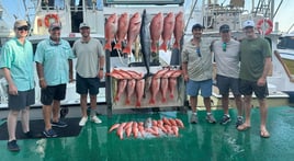 Offshore Fishing Trip