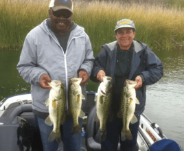 Lake Casitas Bass Fishing Trip