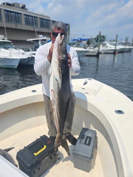 Bluefin Tuna / Shark Trip