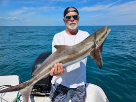 Bluefin Tuna / Shark Trip