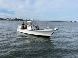Bluefin Tuna / Shark Trip