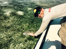 4 Hour Flats trip for 2