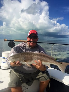 4 Hour Flats trip for 2