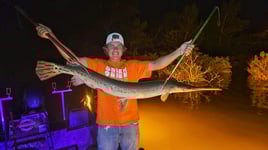 Missouri Bowfishing