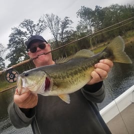 Fly Fishing Fork & North Texas