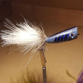 Fly Fishing Fork & North Texas