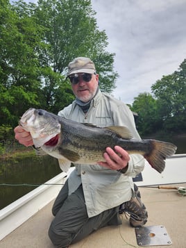 Bass Fishing on Lake Fork