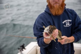 Lake Saint Clair Musky Fishing