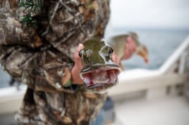 Lake Saint Clair Musky Fishing
