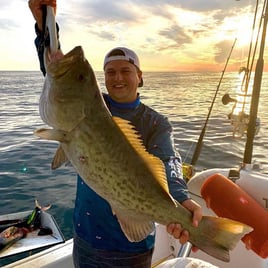 Destin Offshore Fishing