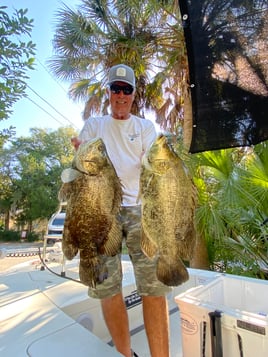 Tripletail Fishing in Apalachicola, Florida
