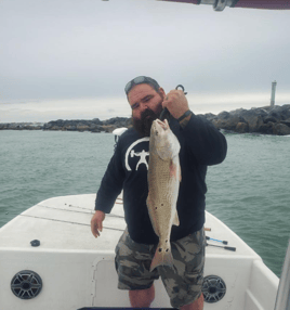 XL Tripletail, Tarpon & Redfish