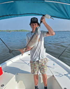 XL Tripletail, Tarpon & Redfish