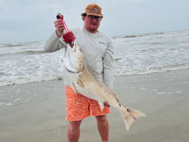XL Tripletail, Tarpon & Redfish