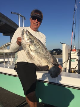 Tripletail Fishing in Apalachicola, Florida