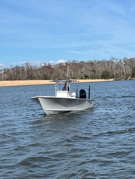 Apalachicola Inshore/Bay Trip