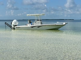 Big Pine Key Bay Trips: Fly or Light Tackle
