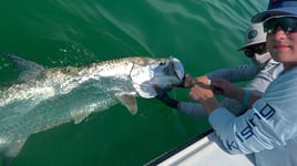 Fly Fishing / Artificial