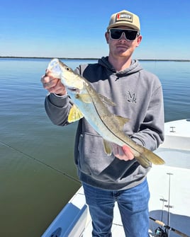 Fly Fishing / Artificial