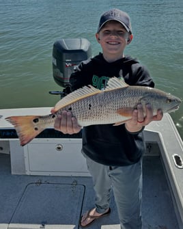 Fly Fishing / Artificial