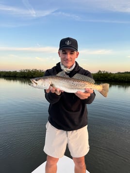 Speckled Trout Fishing in Clearwater, Florida