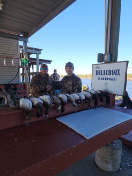 Delacroix Island Duck hunts
