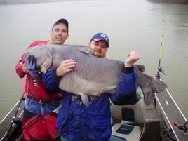 SouthernCats Guide Servive