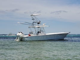 Bringing home the DINNER!!!!!