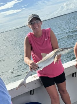 4 Hour Morning Shark Fishing