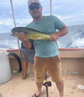 7 Hour Trip – Bottom Fishing