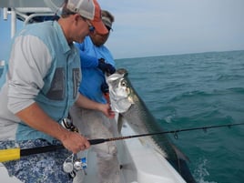 Tarpon Fishing in Key West, Florida