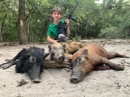Hog Hunting in Groesbeck, Texas