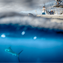 Luxury Offshore Trolling, Kite Fishing, and Bottom Fishing