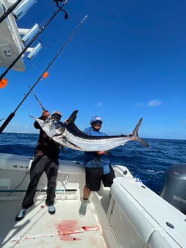 Luxury Offshore Trolling, Kite Fishing, and Bottom Fishing