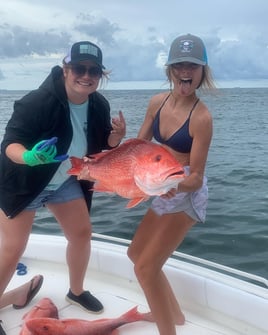 Red Snapper Fishing in Gulf Shores, Alabama