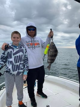 Sheepshead Fishing in Gulf Shores, Alabama