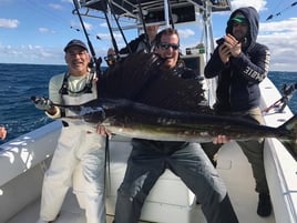 Luxury Offshore Trolling, Kite Fishing, and Bottom Fishing