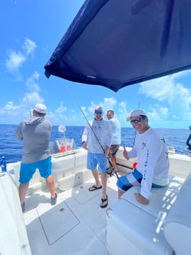 Luxury Offshore Trolling, Kite Fishing, and Bottom Fishing