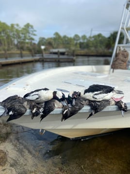 Guided Hunt