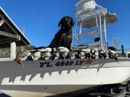 Guided Hunt