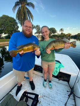 Peacock Bass Fishing in West Palm Beach, Florida