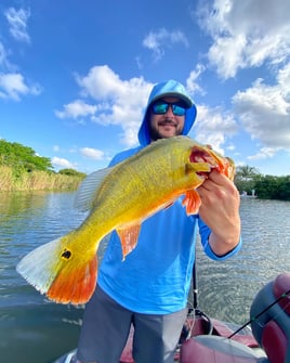 Half day Peacocks and exotics (AM)