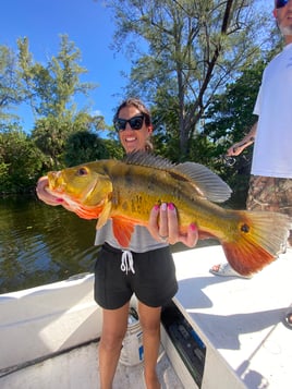 Peacock Bass Fishing in West Palm Beach, Florida