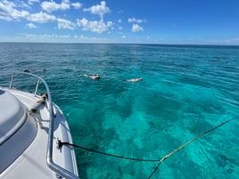 Snorkel & Fish Combo