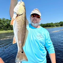 Redfish Fishing in Ocean Isle Beach, North Carolina