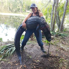 Alligator Hunting in St. Augustine, Florida
