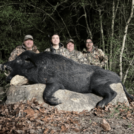 24 Hour Hog Hunt w/Lodging