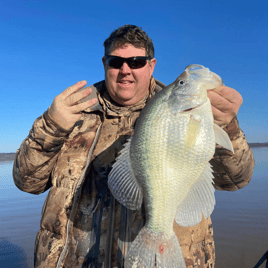 Crappie Fishing in Grenada, Mississippi