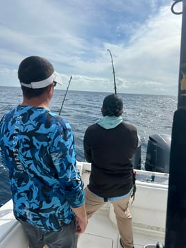 4 hours ocean fishing